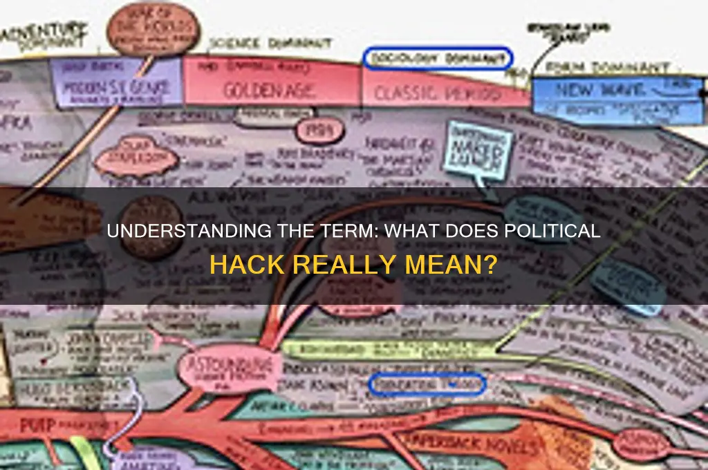 what does political hack