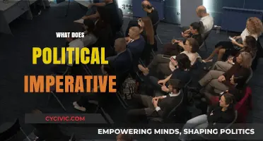 Understanding the Political Imperative: Power, Policy, and Public Demand