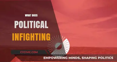 Political Infighting: Causes, Consequences, and Impact on Governance
