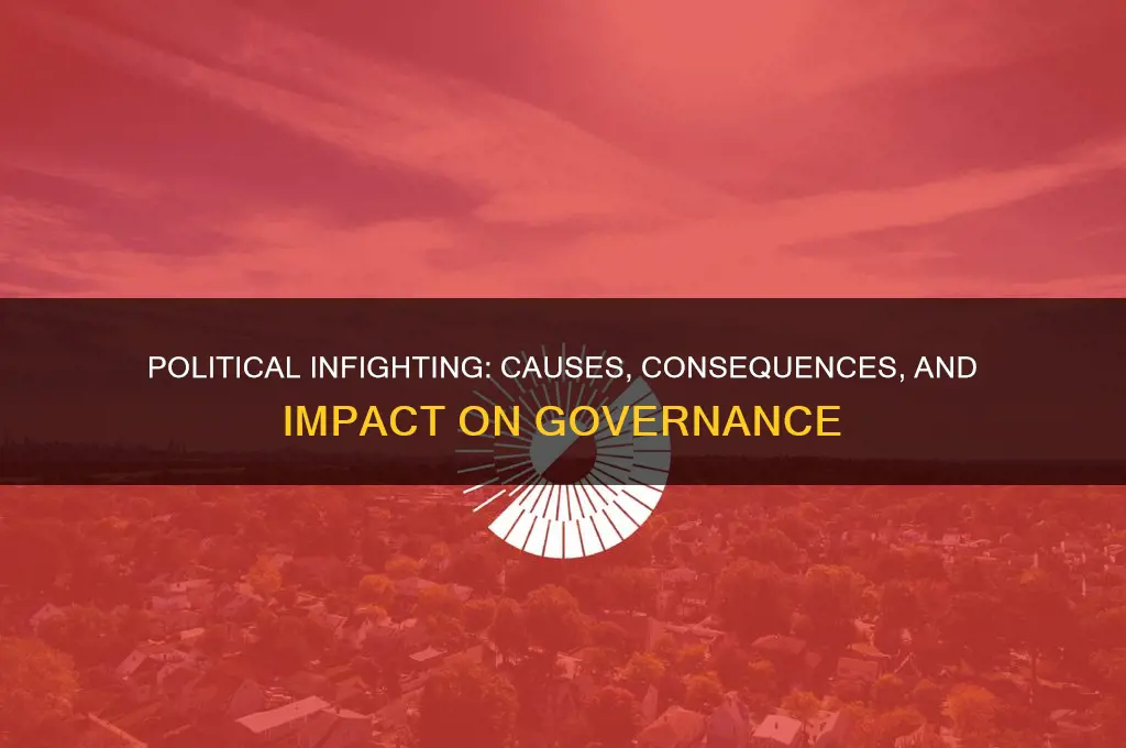 what does political infighting