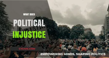 Understanding Political Injustice: Causes, Impact, and Paths to Equality