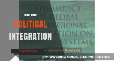 Understanding Political Integration: Uniting Nations, Policies, and People Globally
