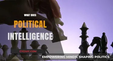 Understanding Political Intelligence: Strategies, Insights, and Real-World Applications
