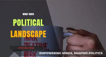 Understanding the Complex Dynamics of Today's Political Landscape