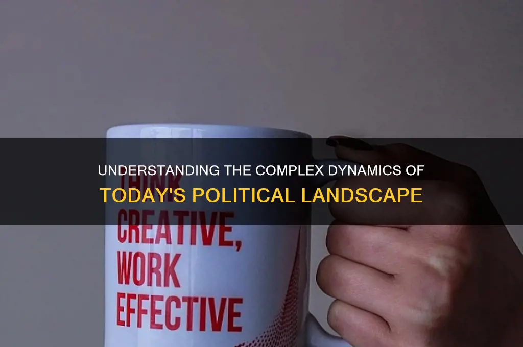 what does political landscape