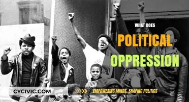 Understanding Political Oppression: Causes, Effects, and Resistance Strategies