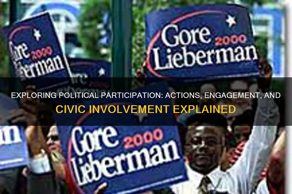 what does political participation include