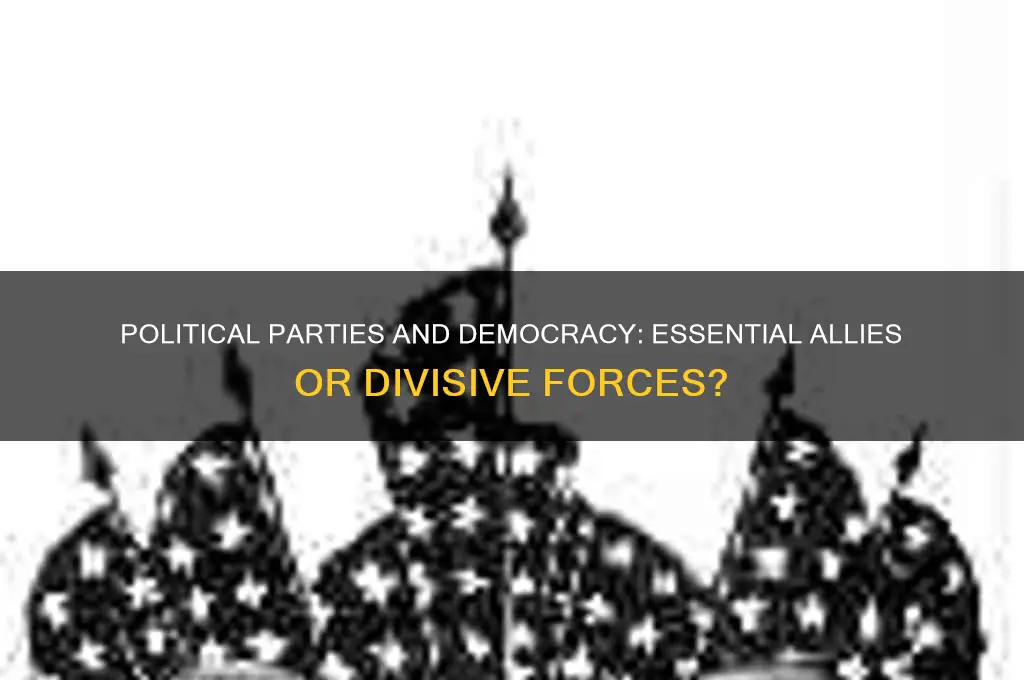 what does political parties have to do with democracy