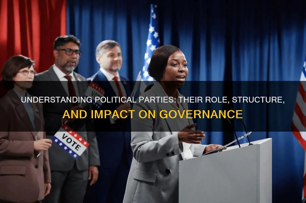 what does political partiesmean