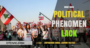 Political Phenomena's Missing Link: Transparency, Accountability, and Civic Engagement