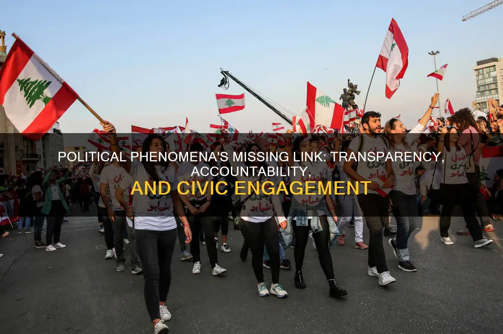 what does political phenomena lack