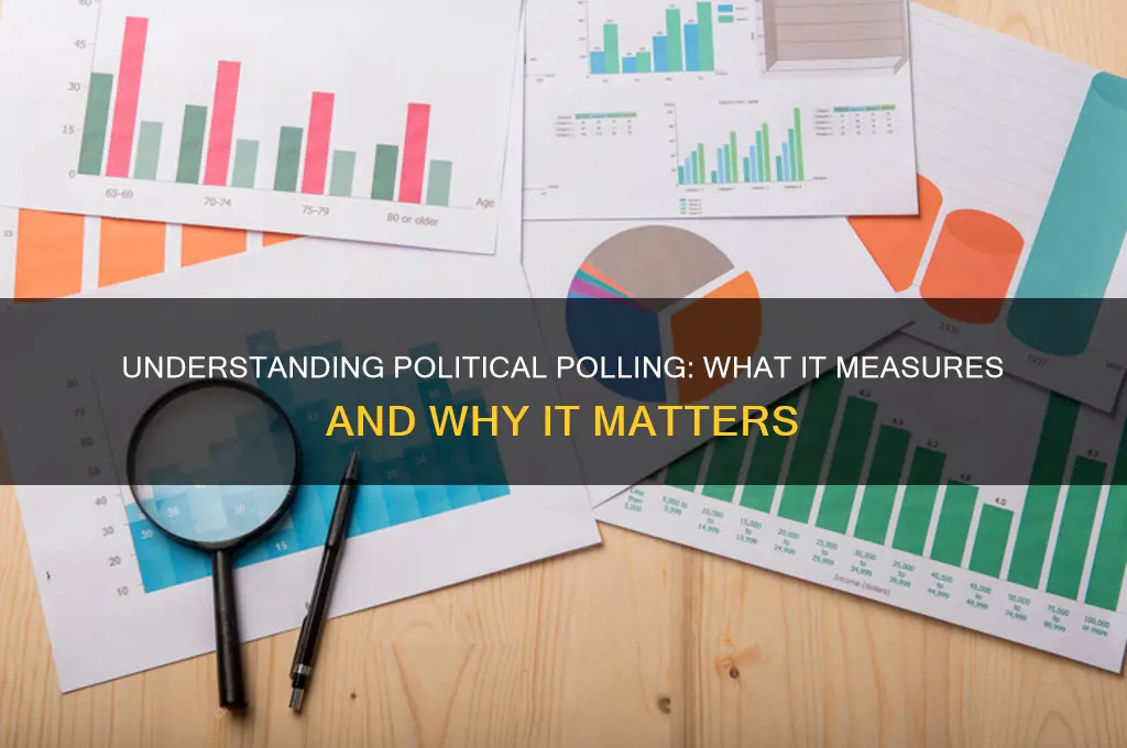 what does political polling measure