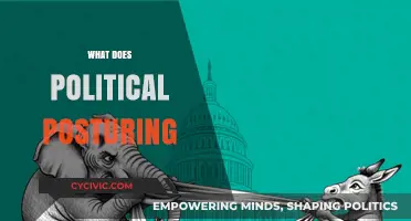 Decoding Political Posturing: Tactics, Impact, and Real-World Implications