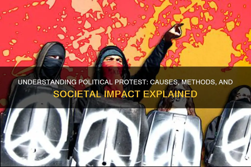 what does political protest