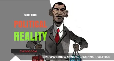 Understanding Political Reality: Power, Perception, and Practical Implications