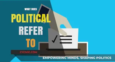 Understanding the Meaning and Scope of 'Political' in Society and Governance