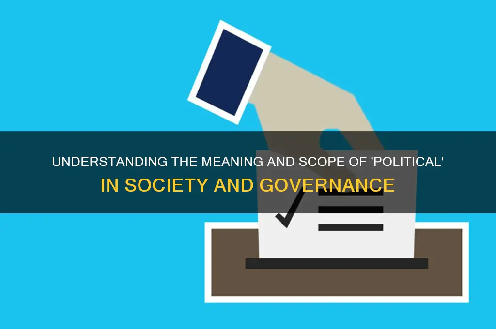 what does political refer to