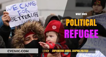 Understanding the Definition and Rights of a Political Refugee