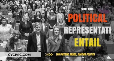 Understanding Political Representation: Roles, Responsibilities, and Real-World Impact