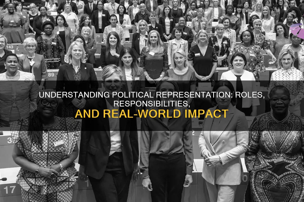 what does political representation entail
