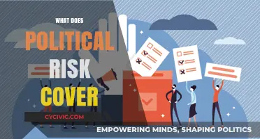 Understanding Political Risk Coverage: Essential Protection for Global Businesses