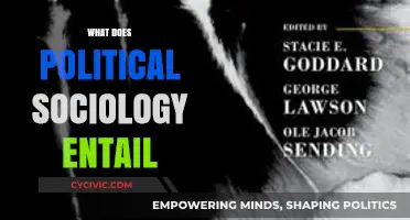 Exploring Political Sociology: Power, Institutions, and Social Dynamics Unveiled