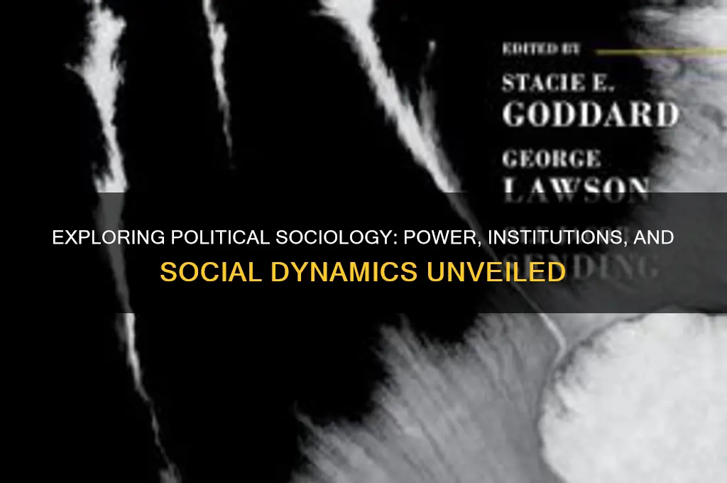 what does political sociology entail