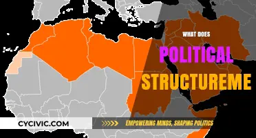 Understanding the Political Structure of the Middle East and North Africa