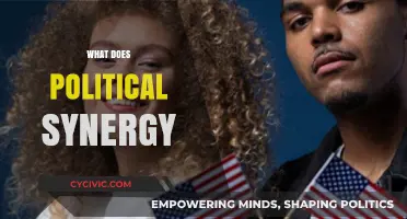 Understanding Political Synergy: Uniting Forces for Effective Governance and Progress