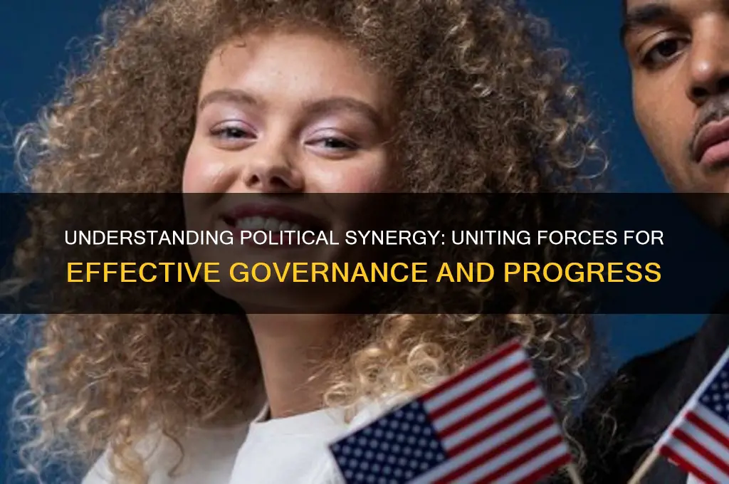 what does political synergy