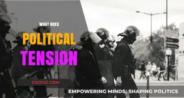 Understanding Political Tension: Causes, Impacts, and Global Consequences Explained