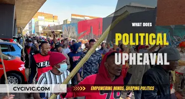 Understanding Political Upheaval: Causes, Impacts, and Global Consequences