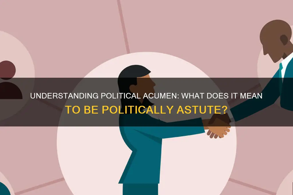 what does politically astute