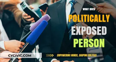 Understanding Politically Exposed Persons: Risks, Regulations, and Compliance