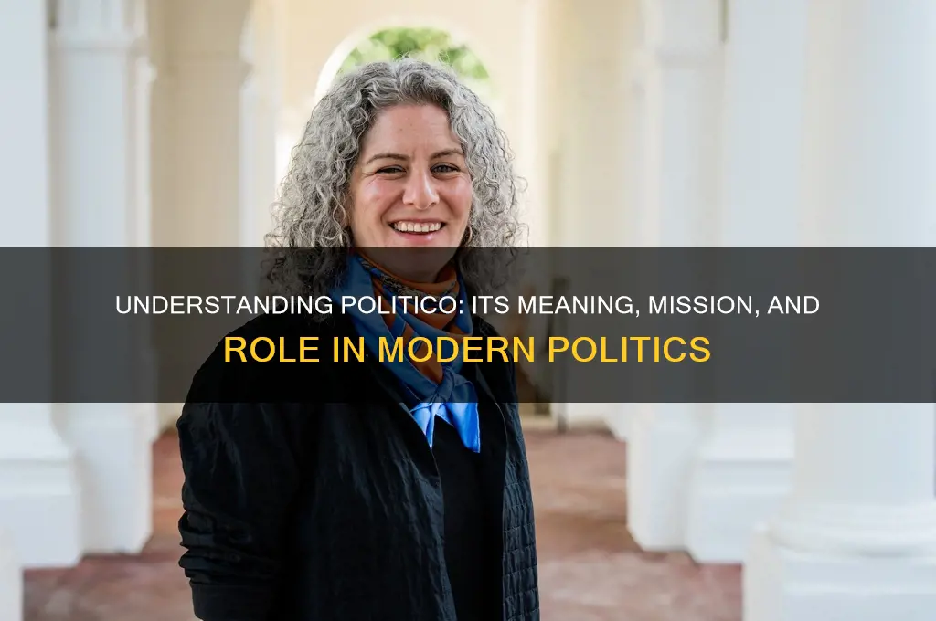 what does politico stand for