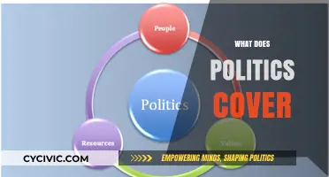 Understanding Politics: Scope, Influence, and Key Areas Explained