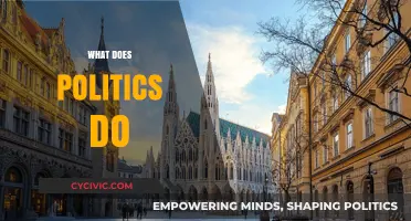 Understanding Politics: Shaping Societies, Policies, and Global Dynamics