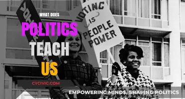 Politics Teaches Us Power, Persuasion, and the Pursuit of Progress