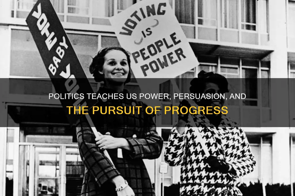 what does politics teach us