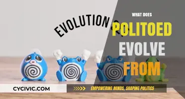 Politoed Evolution: From Poliwag to Poliwrath's Graceful Transformation