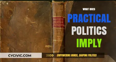Understanding Practical Politics: Real-World Applications and Implications Explained