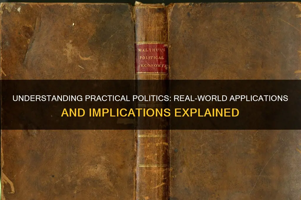 what does practical politics imply