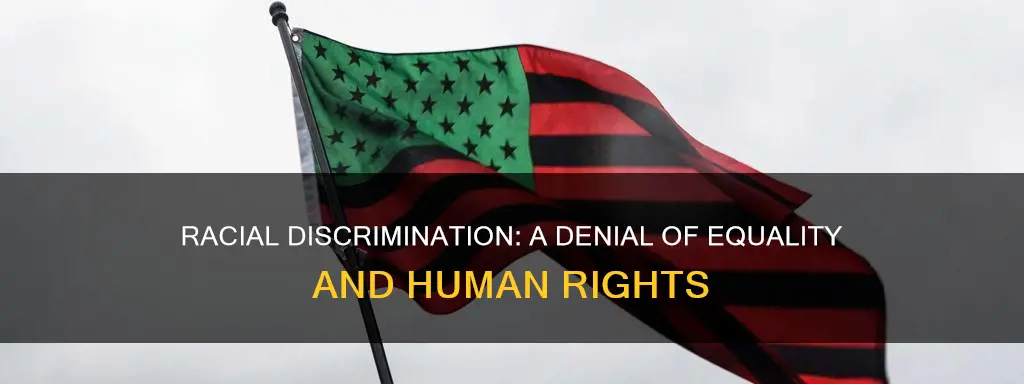 what does racial discrimination constitute a negation of
