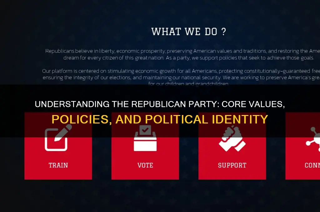 what does republican political party mean