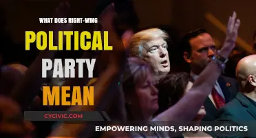 Understanding Right-Wing Politics: Core Beliefs, Policies, and Global Impact