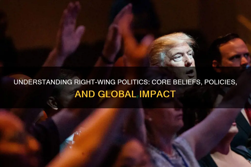 what does right-wing political party mean