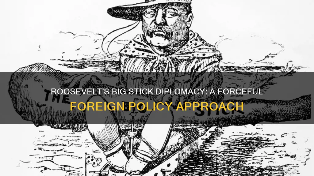 what does roosevelts big stick diplomacy state