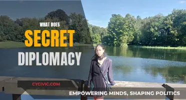 Secret Diplomacy: Understanding Covert International Relations