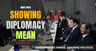 Diplomacy: The Art of Showing Restraint and Respect