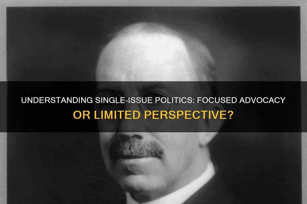 what does single-issue politics